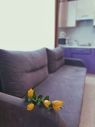 Гостиница Италмас Ижевск Номер студия-11